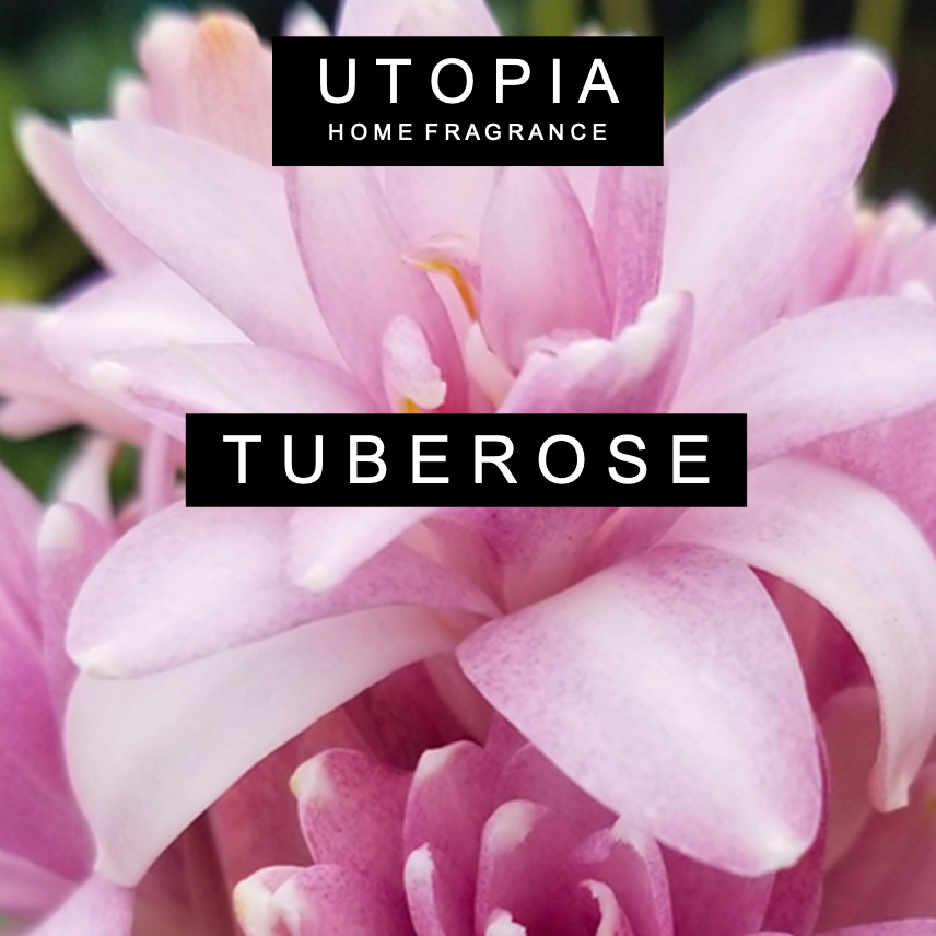 TUBEROSE