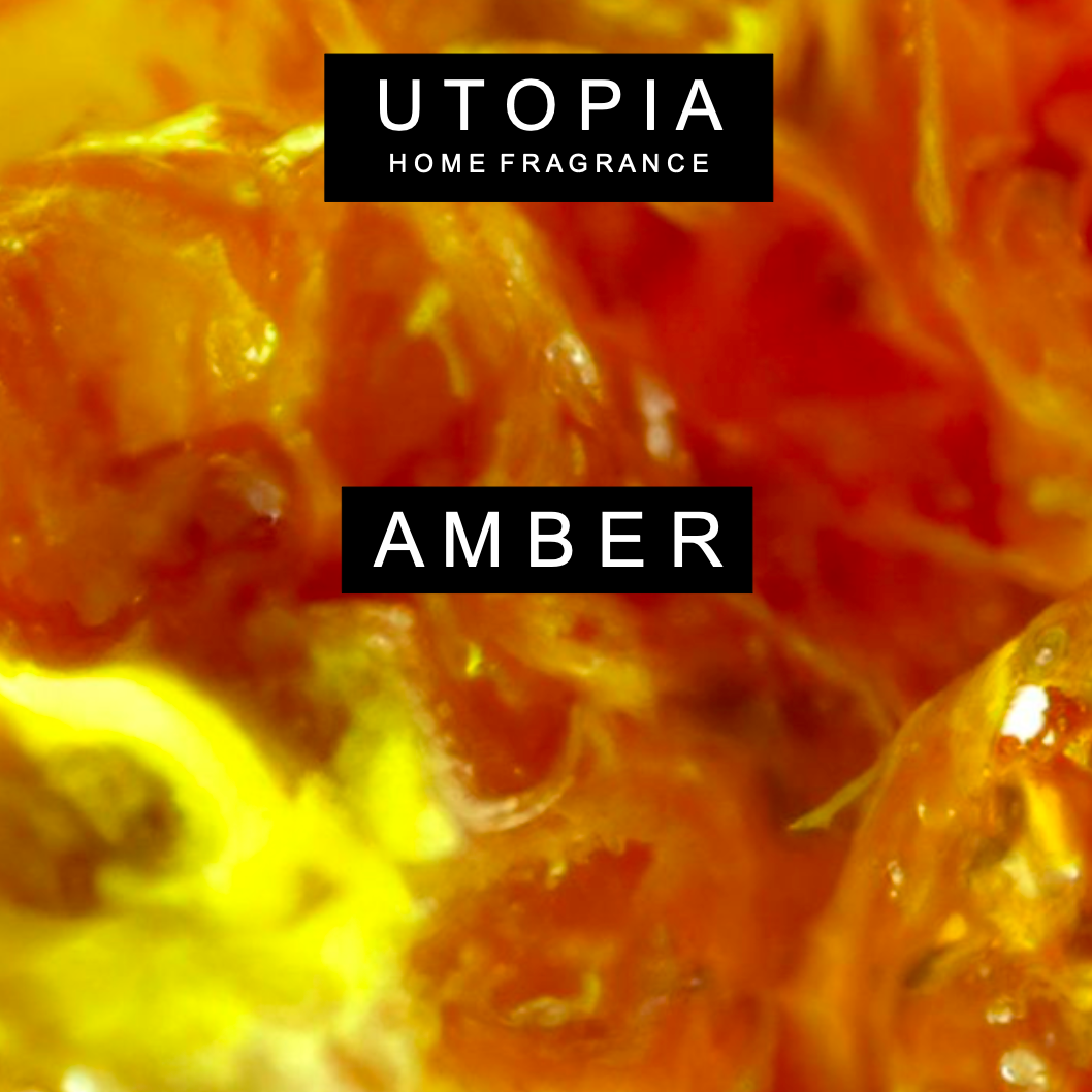 AMBER